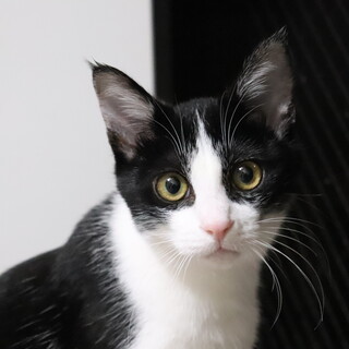 トライアル決定☆お尻ポンポン大好き！な男の子