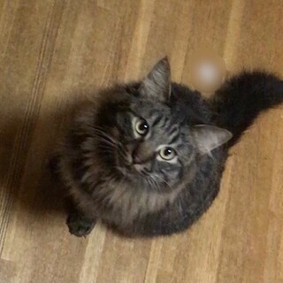 甘えん坊のニジちゃん♡