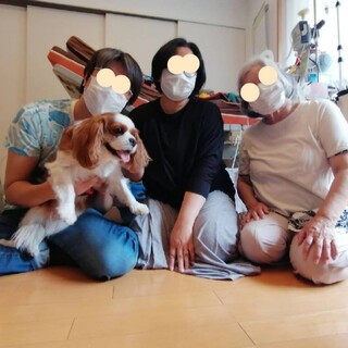 練馬区でルルちゃんになりました