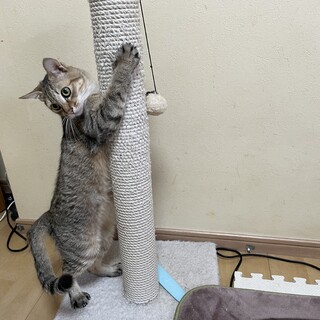 大怪我で失明しても元気いっぱい頑張りっ子