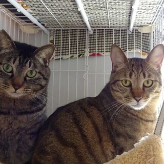 the 男の友情⭐️