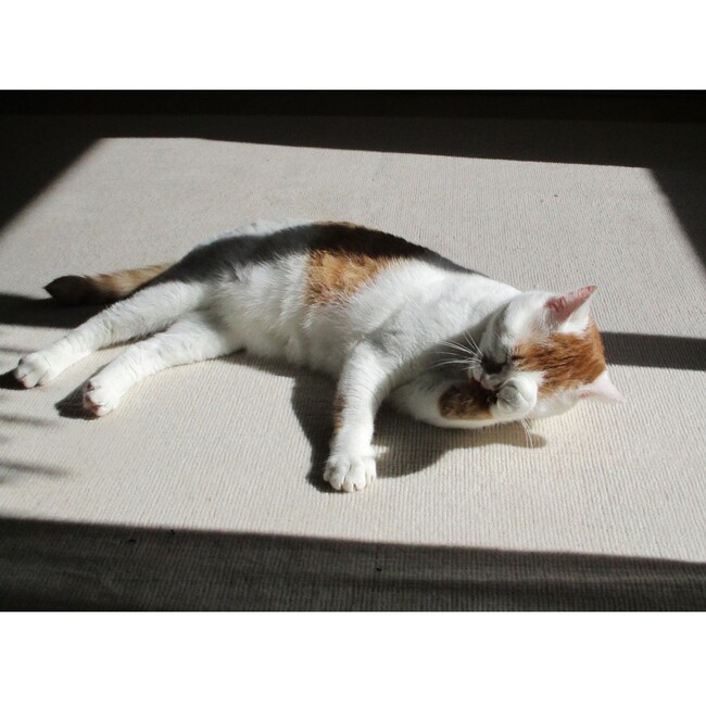 8mm南部のカバー写真