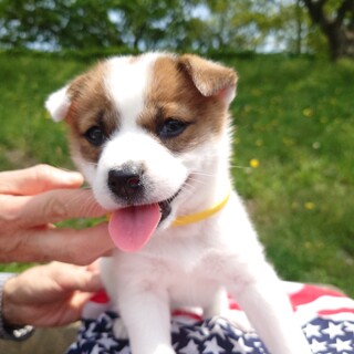 ◆応募複数のため一旦募集停止◆『歌江ちゃん』