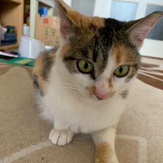 〝ココちゃん〟です♪