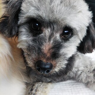 素敵なご縁を頂きました????