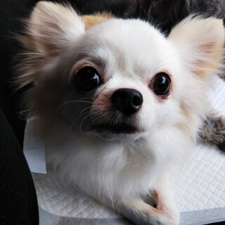 素敵なご縁を頂きました☺️