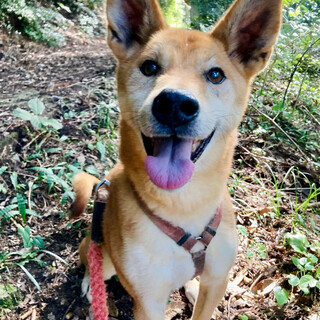 まだまだ元気なサーティ！