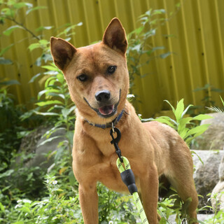 カツミちゃん！