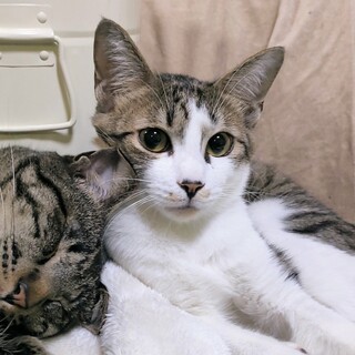 呼ばれたら行ってみる♡しめじくん