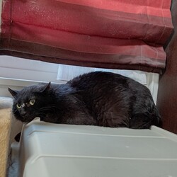 「【保護16日目】思わぬ近距離」サムネイル2