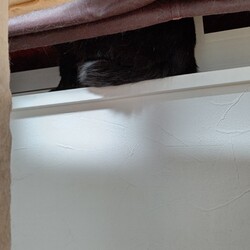 「【保護16日目】思わぬ近距離」サムネイル3