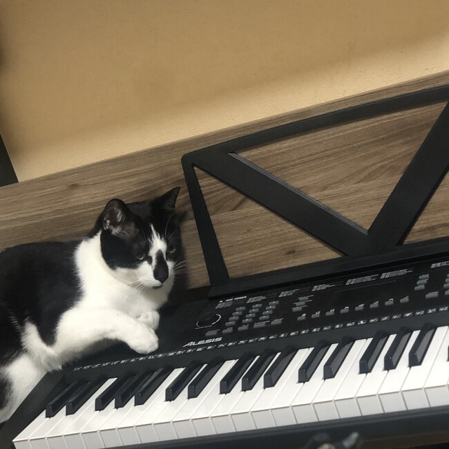 あやのbのカバー写真