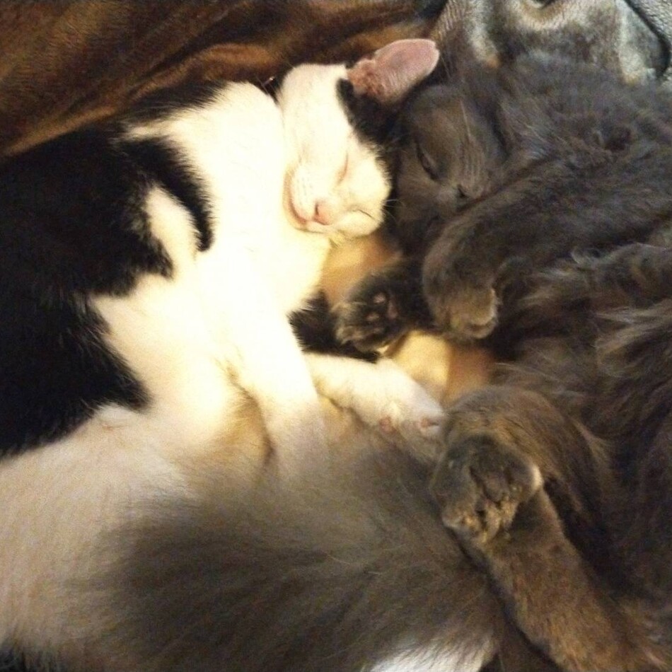 はまちのカバー写真