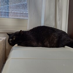 【保護17日目】およよ