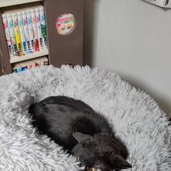 【保護17日目】変化？