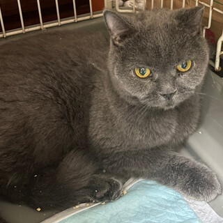 おっとりまったりなムッチちゃん