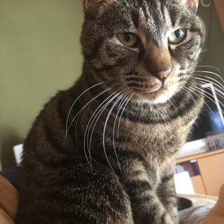 人の側が好き♡じゆうくん