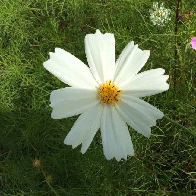 はむちゃん のカバー写真