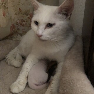 ありがとうございました★シェリーちゃん親子