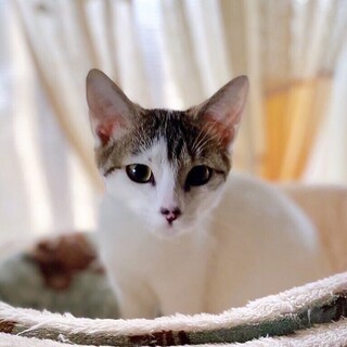 5/1西千葉ෆ⃛仲良モジモジ姉妹ෆ⃛みーあちゃん