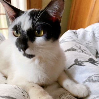 5/1西千葉ෆ⃛仲良モジモジ姉妹ෆ⃛くりりんちゃん