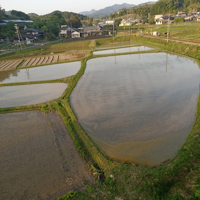トモキ1028のカバー写真