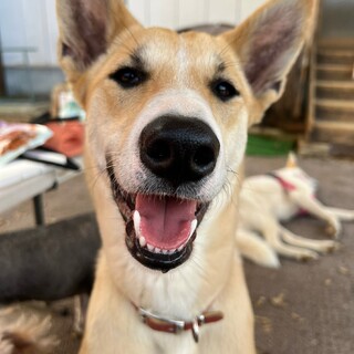 ぐでんぐでんの甘えん坊さん♡Harry