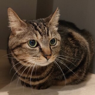 【ミュー】人間好きなマイペースさん