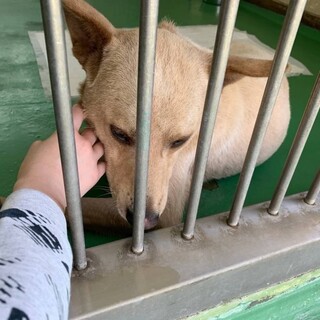 ありがとうございました！