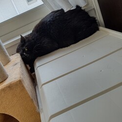 「【保護最終日】明日は旅立ちの日！」サムネイル2