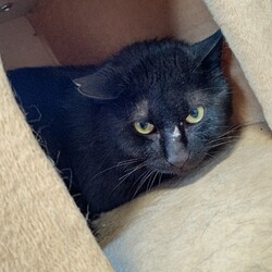 「【保護最終日】明日は旅立ちの日！」サムネイル3