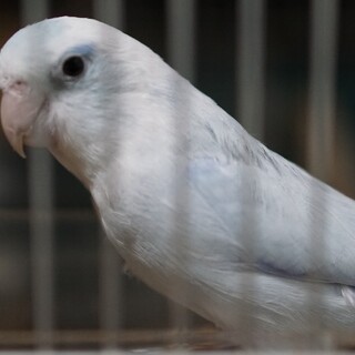 たくさんのご応募ありがとうございました。