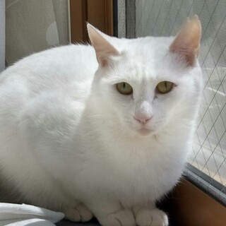 〝さくらちゃん〟です♪