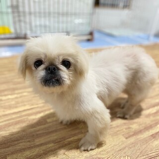 幸せみつかりました！