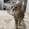 モコモコ長毛♬まりもちゃん サムネイル6