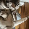 あみチ