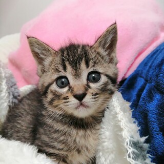 かわいすぎてキュン♡