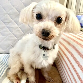 おっとり、やんわり、のほほん男子♪