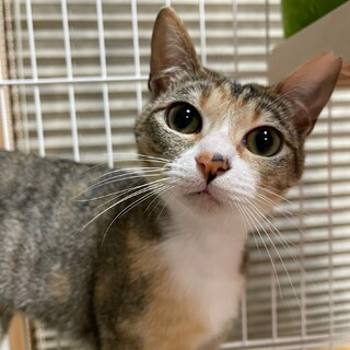 元気で可愛いまおちゃん