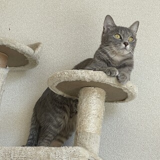 人見知りですが慣れると可愛い女の子