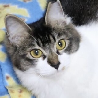 ご機嫌さんのムードメーカー☆可愛いぷりもちゃん❣️