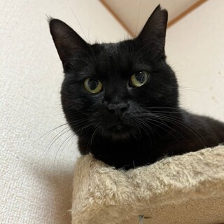 とっても甘えん坊♡マコちゃん