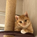 屋根から救出したルーフくん1歳