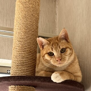 屋根から救出したルーフくん1歳