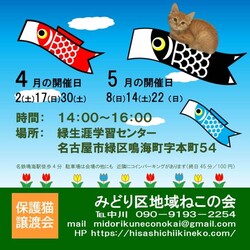 名古屋市緑区猫の譲渡会
