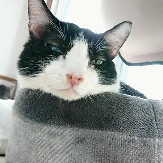 【こくまろ】募集を終了しました