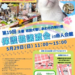 第１９回保護猫譲渡会in山口県　岩国