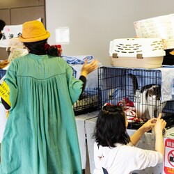 第１９回保護猫譲渡会in山口県　岩国 サムネイル3
