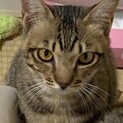 とてもキュートな人懐っこい兄妹。