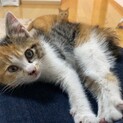 たくさんのご応募ありがとうございました！！